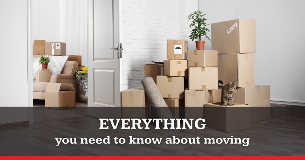 Everything You Need To Know About Moving